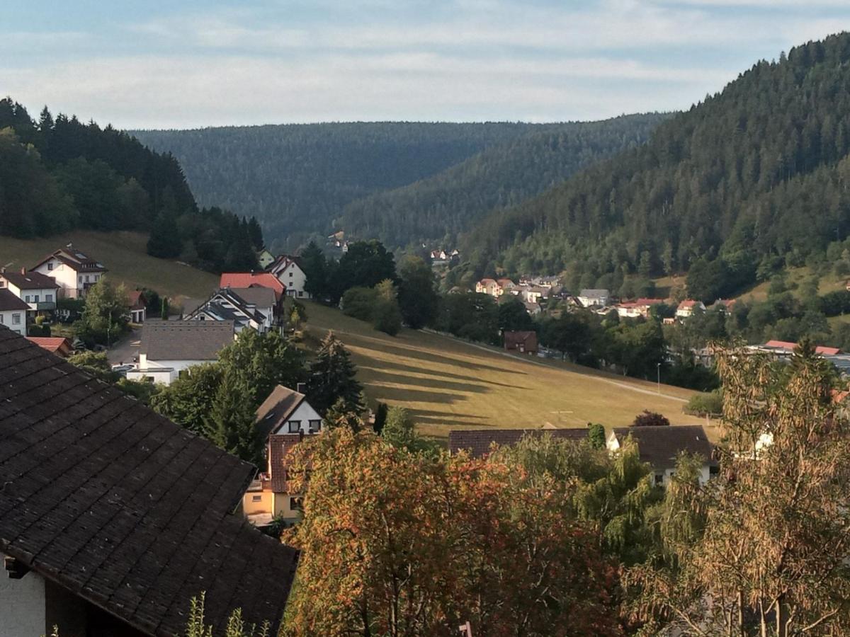 Waldblick Leilighet Baiersbronn Eksteriør bilde